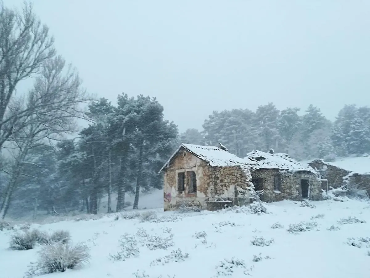 Alojamiento Los Pineros Arroyo Frio